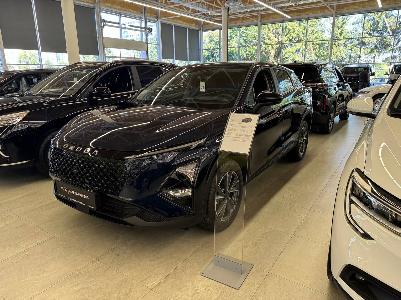 Спецпредложение